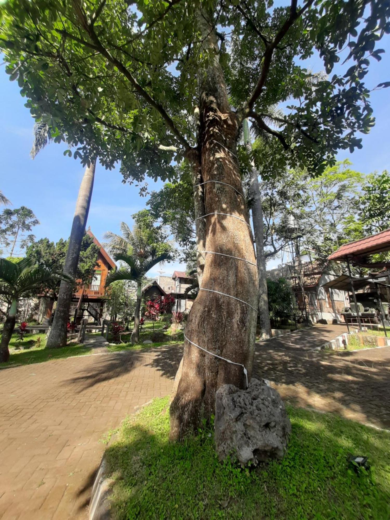 De'Rumah Rindu Alam Batu  Exterior foto
