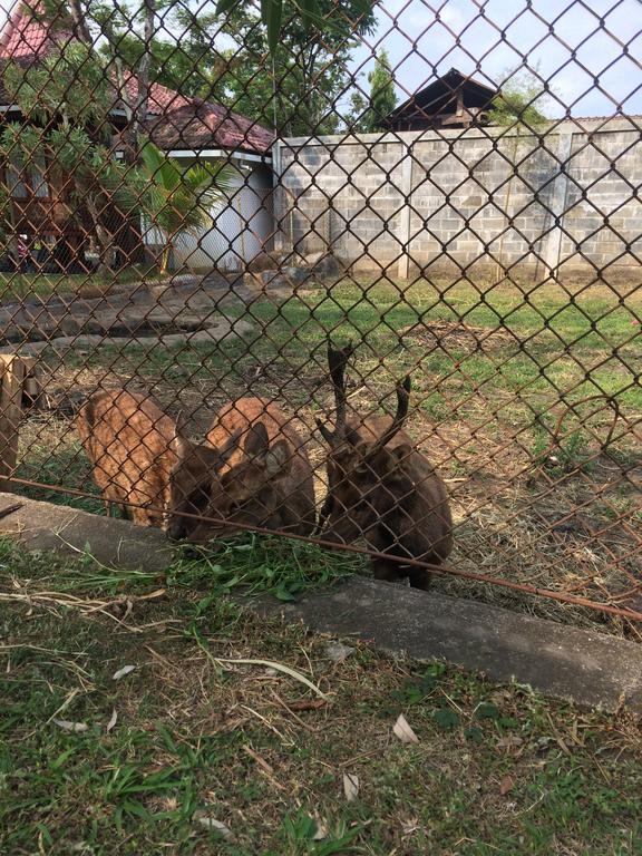 De'Rumah Rindu Alam Batu  Exterior foto